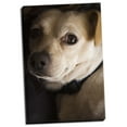 thumbnail image 1 of Gango Home Decor Second Glance by Karyn Millet (Ready to Hang); One 24x36in Hand-Stretched Canvas, 1 of 4