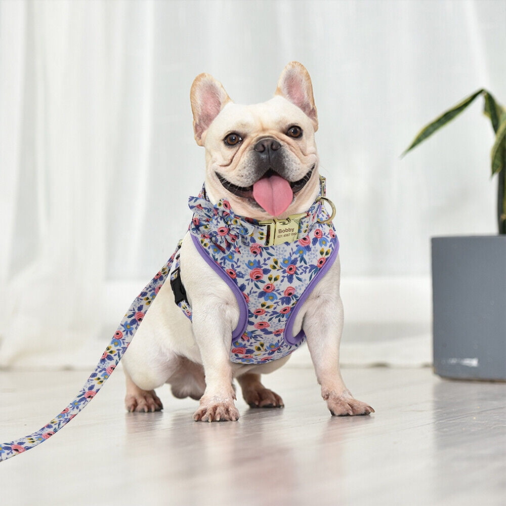 Pet Artist 3pcs Floral Nylon Dog Harness Vest and Leash and Collar set Custom Personalized for Pets