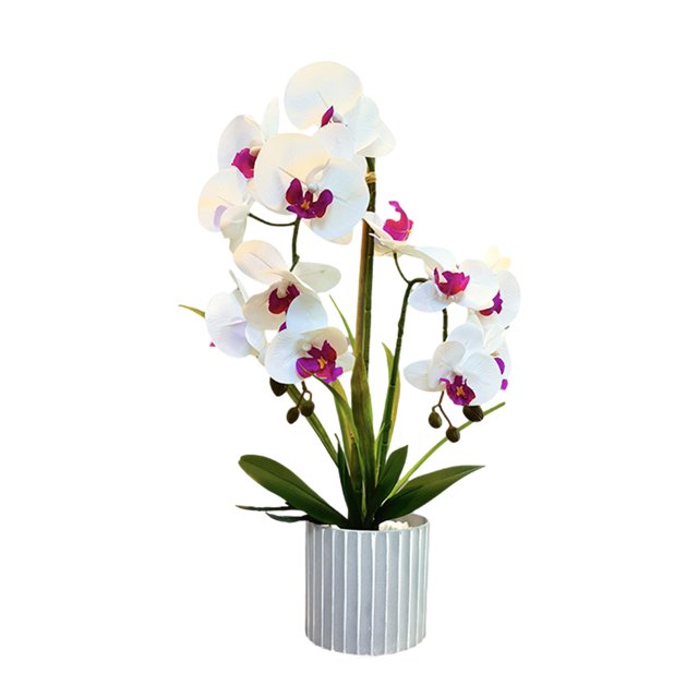 Toystoory No se requiere riego de plantas artificiales para una fácil decoración del hogar No se marchita el bonsái artificial Decoración del hogar BF2312091