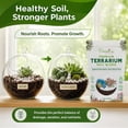 thumbnail image 2 of Creations by Nathalie Succulent & Cactus Soil Blend: Terrarium Planting Mix - Fast Drainage, 2 of 6