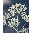 thumbnail image 2 of Studio Mousseau 15x18 White Modern Wood Framed Museum Art Print Titled - Dark Blue Sky Garden I, 2 of 4