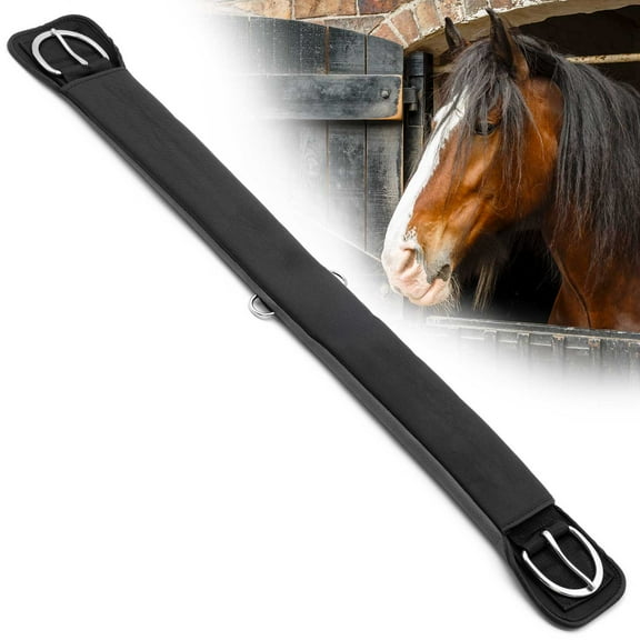 Jeffers Equine Neoprene Draft Horse Cinch, 46 in - 3" Poly Webbing Western Girth with Stainless Steel Hardware, Non Slip Adjustable Tack Strap for Saddle, Trail, & Equestrian Riding Gear - Black