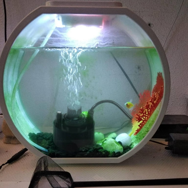 Generatore Di Nebbia 24V Senza Luce - Per Fontane, Acquari E Vasi