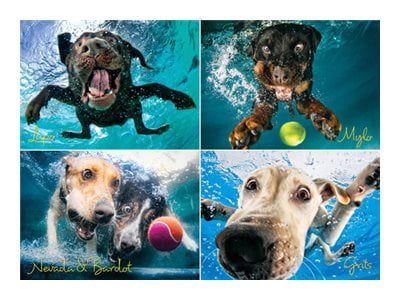 Willow Creek Press Underwater Dogs: Splash 1000-Piece Puzzle