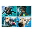 thumbnail image 2 of Willow Creek Press Underwater Dogs: Splash 1000-Piece Puzzle, 2 of 2