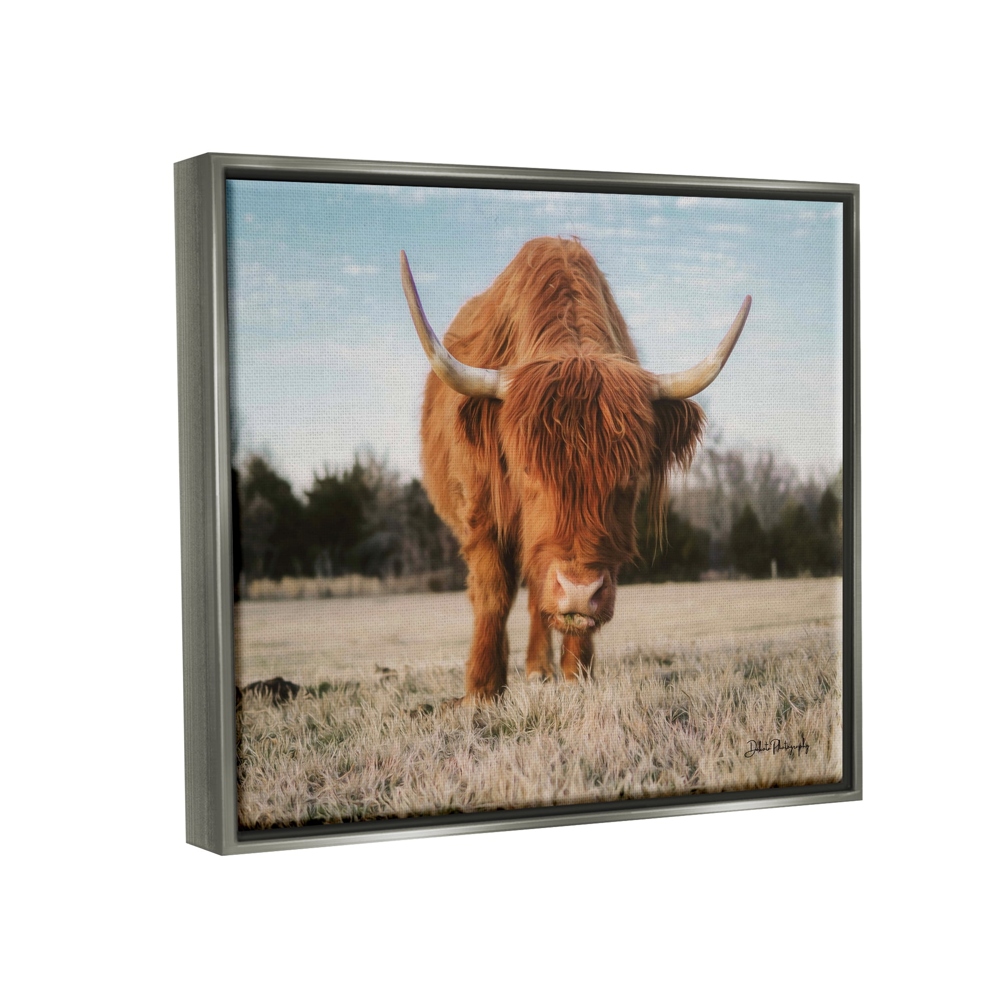 Stupell Farmhouse Highland Cattle Ranch Animals & Insects Photography Gray Floater Framed Art Print Wall Art