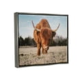 thumbnail image 3 of Stupell Farmhouse Highland Cattle Ranch Animals & Insects Photography Gray Floater Framed Art Print Wall Art, 3 of 6