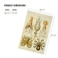 thumbnail image 4 of Lantern Press 1000 Piece Jigsaw Puzzle, Art Forms of Nature, Gamochonia (Octopuses and Squids), Ernst Haeckel Artwork, 4 of 5