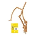 thumbnail image 2 of A & E Cage Company Java Wood Multi-Branch Bird Perch, X-Small, 2 of 2