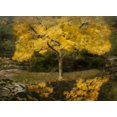 thumbnail image 1 of Affiche Imprimée Autumn Reflections III par Vitaly Geyman (9 x 12), 1 of 1