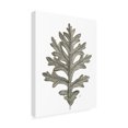 thumbnail image 2 of Wild Apple Portfolio 'Histoire Naturelle Leaves II' Canvas Art, 2 of 4