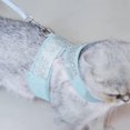 thumbnail image 4 of Heiheiup Reflective Dog Strap With Bow Nylon Vest With Shiny Rhinestone Bow Dog Chest Strap, 4 of 8