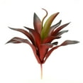 thumbnail image 1 of Vickerman Vickerman 9.5 Pouces Violet/rouge Aloe Vera Pick 3/Pk - FO180701, 1 of 3