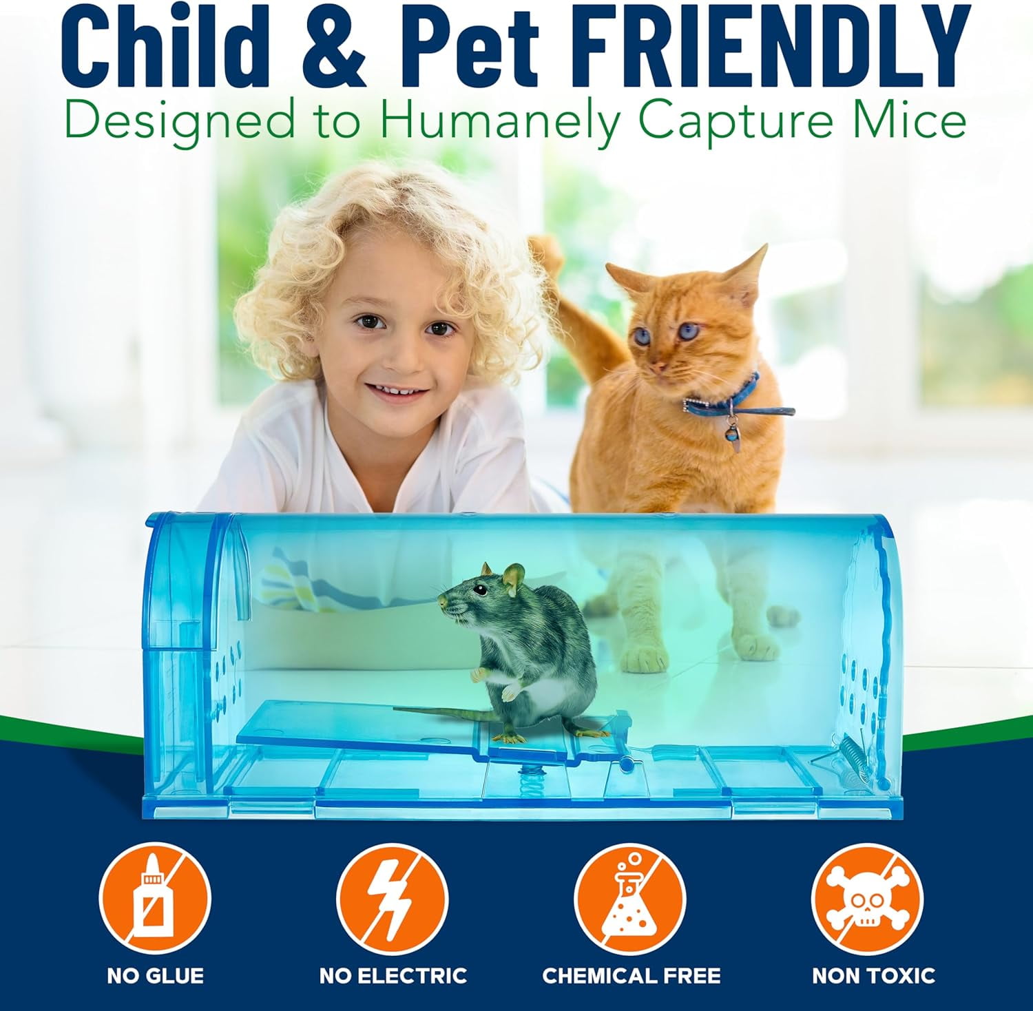 Campior Humane No-Kill Mouse Trap, Large, Indoor, Child & Pet Safe, Easy to Clean, 4-Pack, Blue
