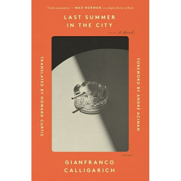Last Summer in the City, (Paperback)