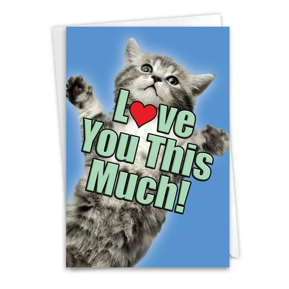 C6610AANG Funny Anniversary Greeting Card 'Cat Love You This Much' with Envelope by NobleWorks