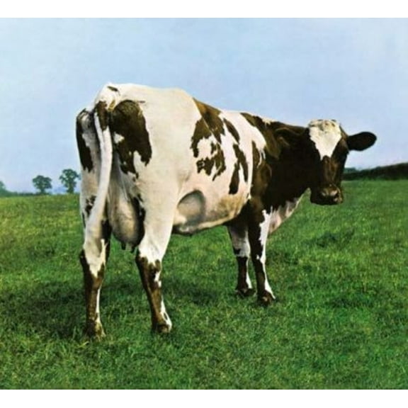 Pink Floyd - Atom Heart Mother - Music & Performance - CD