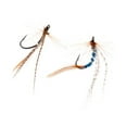 thumbnail image 4 of 32Pcs Fishing Flies Simulation s With Wing For Trout Bass Salmon Model 5, 4 of 6