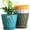 Multicolor, variant on 8 Inch Wave Plant Pots with Drainage Holes & Saucers, 4 Pack Modern Textured Medium Planters for Indoor Outdoor Plants, Decorative Flower Pots Set for Flowers, Herbs (Multicolor)