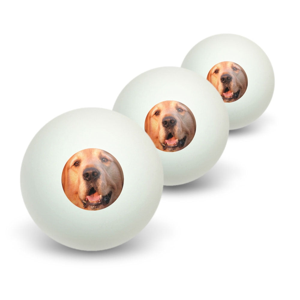 Golden Retriever Dog Novelty Table Tennis Ping Pong Ball 3 Pack