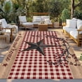 thumbnail image 2 of Texas Star Farmhouse Outdoor Rug for Patio/Deck/Porch, Non-Slip Large Area Rug 3 x 5 Ft, Rustic Red Plaid Berry Wooden Indoor Outdoor Rugs Washable Area Rugs, Reversible Camping Rug Carpet Runner, 2 of 8