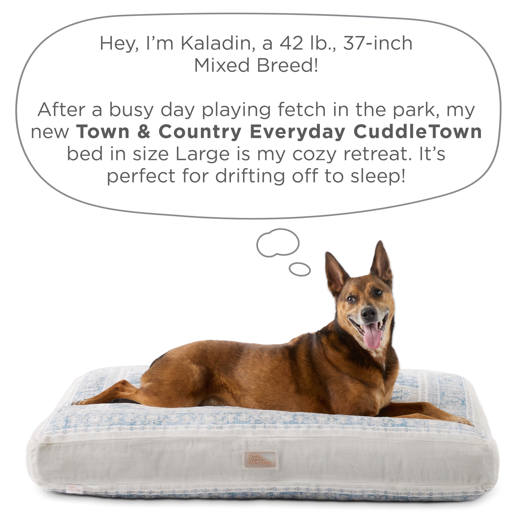 TOWN & COUNTRY EVERYDAY CuddleTown Medallion Everwash® Pillow Pet Bed, Water Repellent Floor Pillow, Machine Washable Cover, Soft & Calming, Blue/Greige, Large 44"x34"x4"