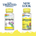 thumbnail image 2 of Solaray Astragalus Root 550mg | Healthy Immune Function & Stress Support | Adaptogen Herb | Non-GMO & Vegan | 100 VegCaps, 2 of 6