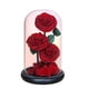 thumbnail image 3 of Rosa eterna en cúpula de cristal Decoración para el Día de San Valentín Regalos para el Día de San Valentín Manualidades Estilo D, 3 of 9