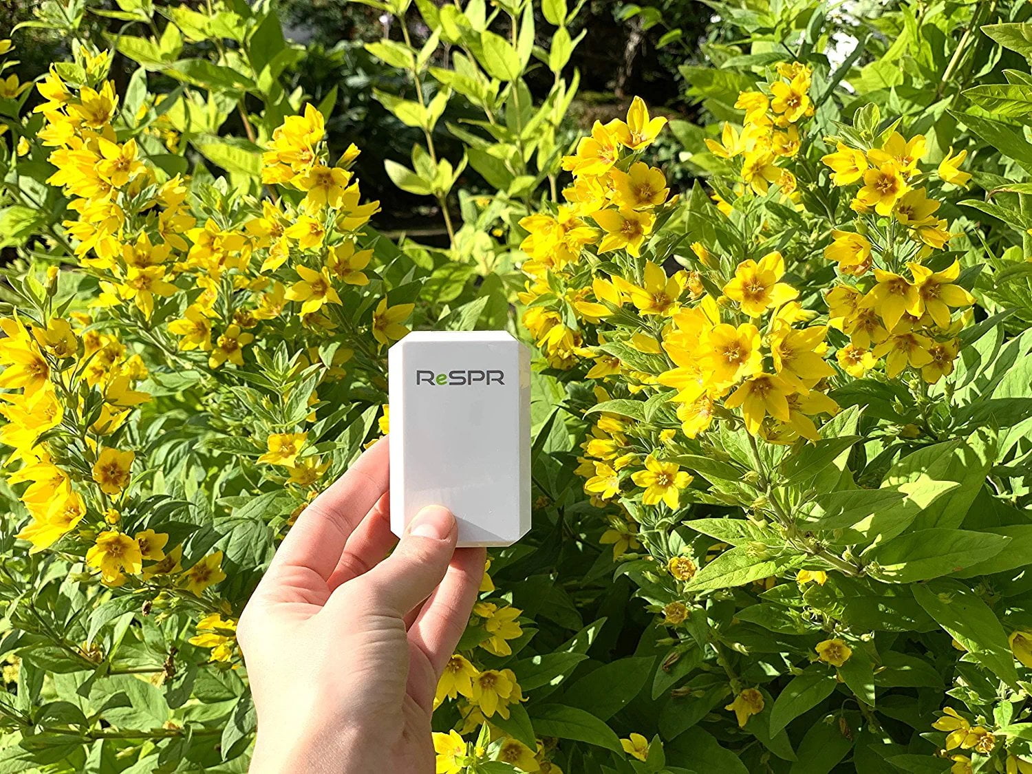 ReSPR SeLF Wearable Personal Ionizer Air Purifier for Indoor and Outdoor Use- Rechargeable, Proprietary Ionizing Technology - Includes Necklace Lanyard