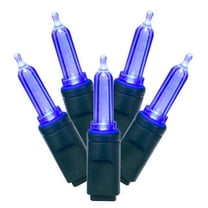 Vickerman 50 Blue Italian LED Light on Green Wire, 25' Christmas Single Mold Light Strand