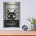 thumbnail image 4 of Luxe Metal Art 'Kitty Mugshot' by Nicklas Gustafsson, Metal Wall Art, 12"x16", 4 of 9