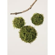 Sullivans Set of 3 Mossy Orbs Decorative Filler 8"H, 6"H & 5.5"H Green
