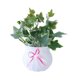 thumbnail image 2 of Gwong Decoración hogareña Artificial Bonsai Fake Leaf Plant Wall Wall Adorno Fiesta Sala de estar Decoración Gwong 21049159, 2 of 7