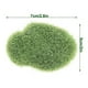 thumbnail image 4 of Cateissary Terrarium Decor Rainforest Diorama Supplies Faux Moss Medio hecho a mano Decoración del hogar Nº 70 5*7cm, 4 of 6