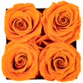 thumbnail image 2 of Regalo de cumpleaños Preserved Rose Impouo Eternal Love para ella, 2 of 6
