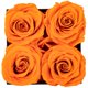 thumbnail image 2 of Regalo de cumpleaños Preserved Rose Impouo Eternal Love para ella, 2 of 6