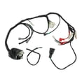 thumbnail image 1 of Arnes Electrico Italika Dm 250X (22-24) 12V, 1 of 3