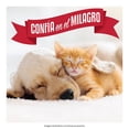 thumbnail image 3 of Desodorante Nature's Miracle para el Cuidado del Aire 709 ml, 3 of 4