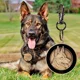 thumbnail image 2 of Placa Perro Gato Personalizada Identificación Razas Inoxida Color Pastor Alemán, 2 of 5
