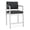 Adler Nocturnal, variant on Lesro Lenox Steel Fabric Hip Waiting Room Guest Chair in Silver/Open House Black