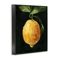 thumbnail image 3 of Stupell Industries Abstract Yellow Lemon on Vine Pop over Black Black Framed by Emma Caroline, 3 of 5
