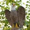 thumbnail image 4 of Eagle Decoy Birds Scarer para Colorear Bird Disuasores Yard Garden Zulema Estatua de águila, 4 of 8