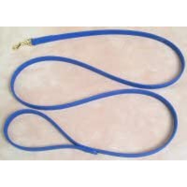 Royal Blue Dog Leash 6 Foot 1/2 " Beta Biothane, 1/2 inch biothane