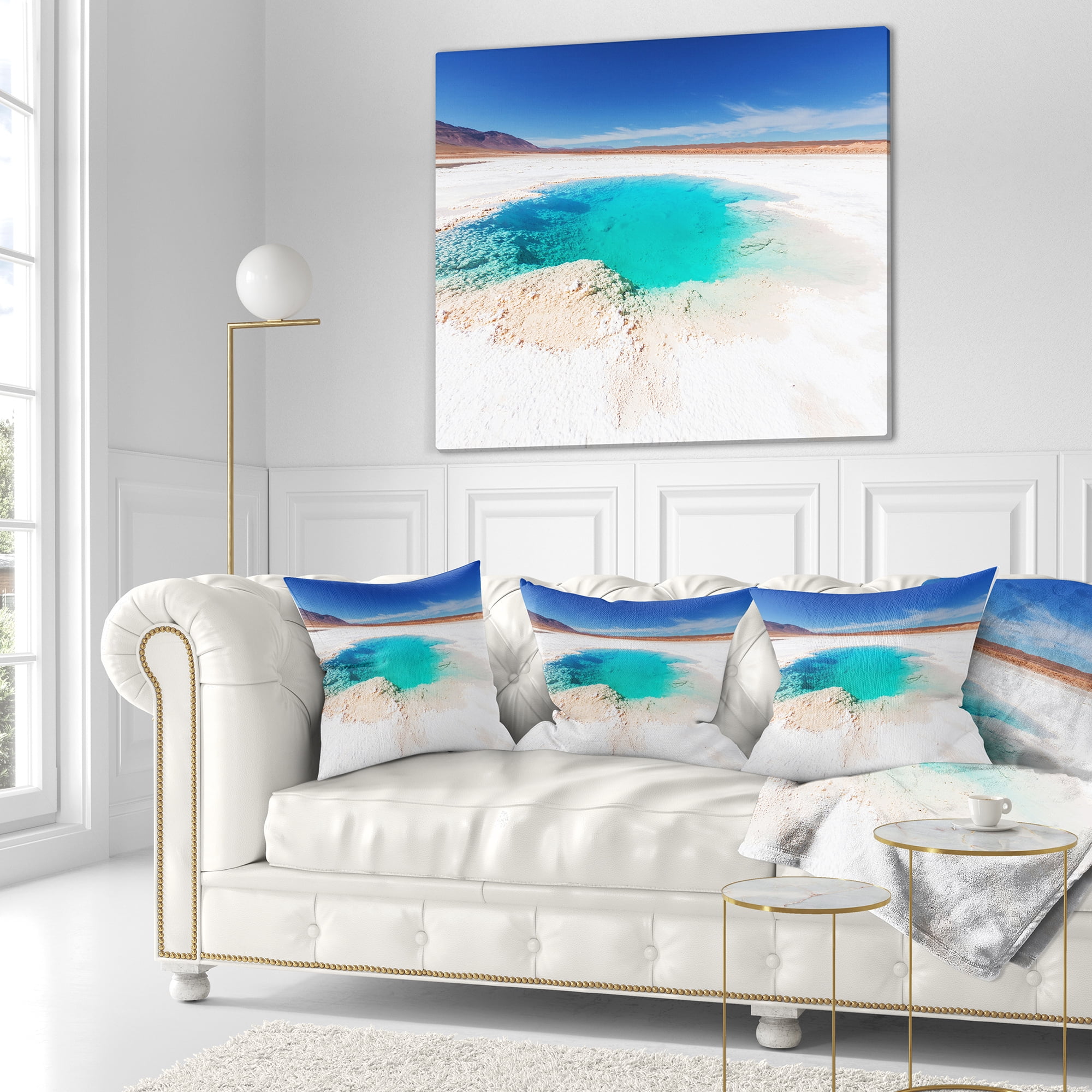 Designart Beautiful Salinas Lake in Argentina - Landscape Printed Throw Pillow - 16x16