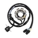 thumbnail image 1 of Stator Coil for Honda CRF250 CRF250X 2004-2009 2012 2013 2015 2016 2017 31100-KSC-671 31100-KSC-A11, 1 of 5