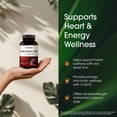 thumbnail image 4 of NatureBell Red Yeast Rice with CoQ10 - 240 Vegetarian Capsules - For Heart Health, Energy Support, Brain Wellness & Antioxidant Support - 120 Servings, 4 of 8