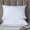 White, variant on Byujiro Bed Pillow for Sleeping 2 Pack Super Soft Pillow Insert Home Low-Profile Pillow for Side Stomach Sleepers