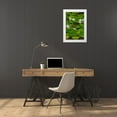 thumbnail image 3 of Engelbrecht, Lisa S. 11x14 White Modern Wood Framed Museum Art Print Titled - Frogs among Woods White Knight lilies, 3 of 4