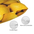 thumbnail image 3 of Honeii Ripe Yellow Lemon Print Pillow Cases,Plush Throw Pillow Covers,Decorative Pillowcase for Sofa, Couch, Living Room-14"x20", 3 of 6