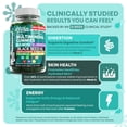 thumbnail image 5 of Sea Moss Gummies | Clinically Tested - Black Seed Oil Ashwagandha Elderberry Burdock Root Chlorella Manuka Honey - Vegan Irish Sea Moss Gummy Vitamins for Adults Kids Men Women - Green Apple Flavor, 5 of 9